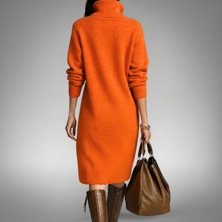 Naomi | Sophisticated High Neck Dress